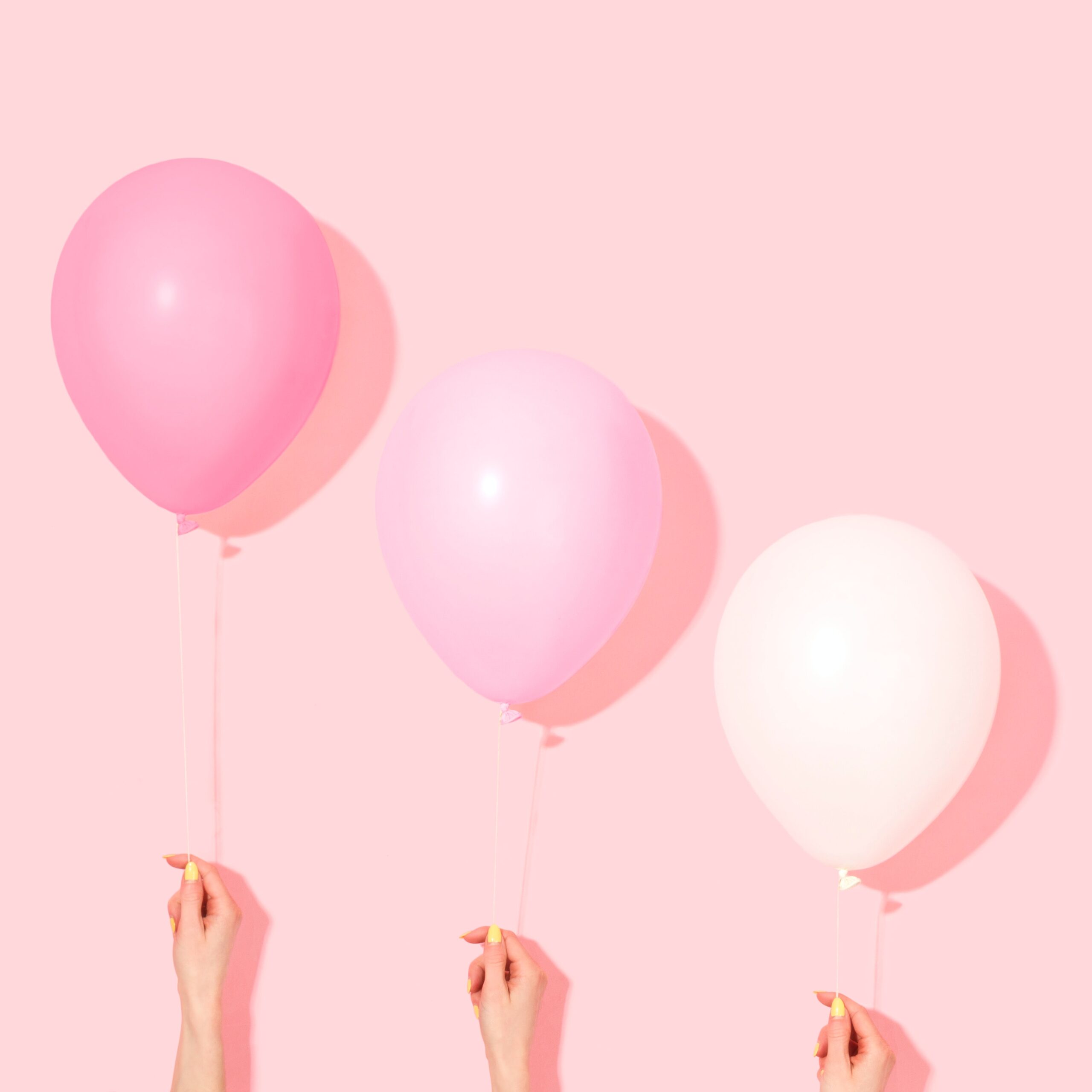 Rosa_manad